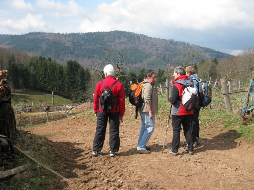 2010