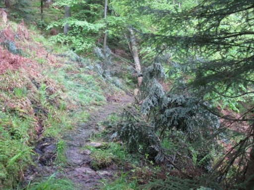 Sentier Thiaucourt