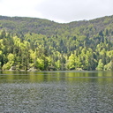 Lac AltenWeiher