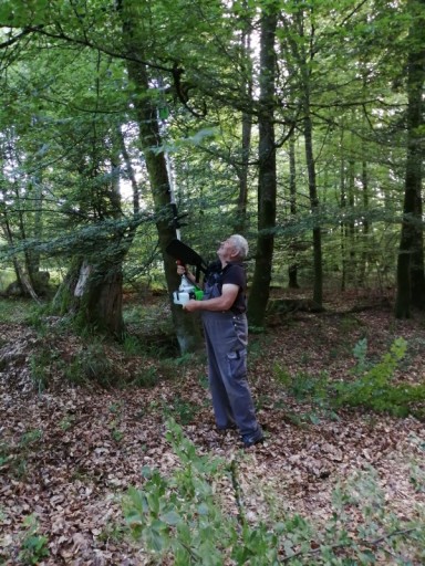 Croix Collin / Pourrimont / Salle de Danse / Sentier des Vaches