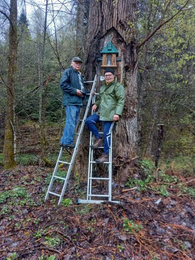 Rénovation et pose Notre Dame des bois /Bousson