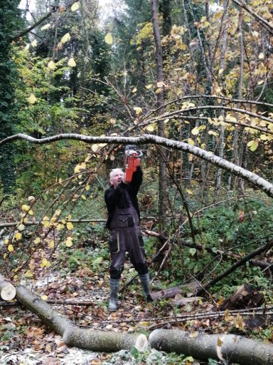 Sentier de Haute-Seille