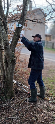 Entretien sentier du souvenir Bertrambois