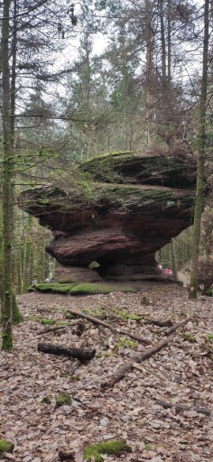 Randonnée hivernale du district II  organisée par le CV Ernolsheim les Saverne
