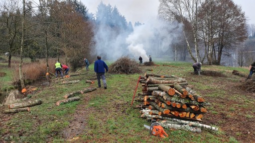 Coupe des Aulnes et brûlage des branches à Val-et-Châtillon