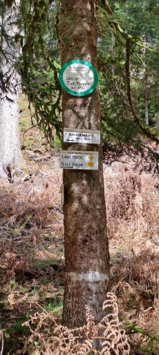 modification sentier croix jaune au départ Trou Marmot