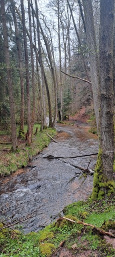 Le Houzard/ Sarre blanche - Grand Rougimont