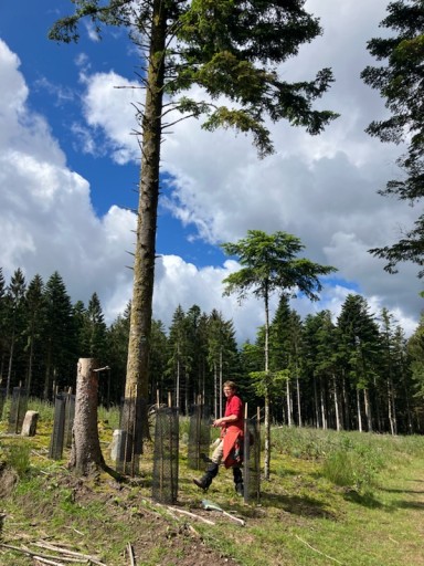 sentier  Auges de Martimont (croix rouge)