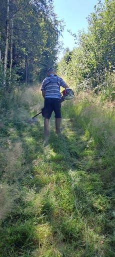 Carrière de Tanconville /sentier du souvenir