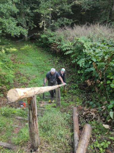 Remplacement main courante  sentier Fourchue Eau/ Todlaine