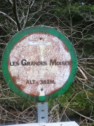 Les Moises / roches de Todlaine