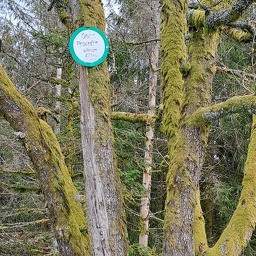 balisage accès au Grand Rougimont