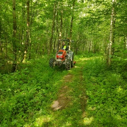 Sentier du Souvenir/ Hattigny  - Tanconville