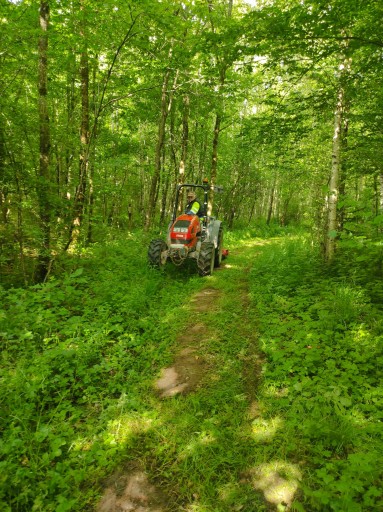Sentier du Souvenir/ Hattigny  - Tanconville