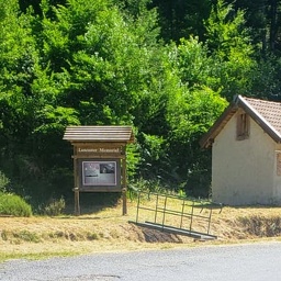IMG-20250710-WA0002