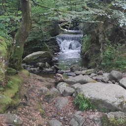 IMG 20250715 154736