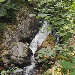 IMG 20250715 154427