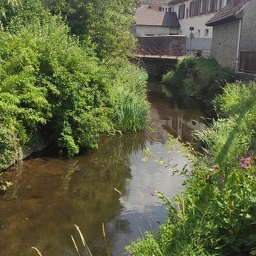 IMG 20250715 144819