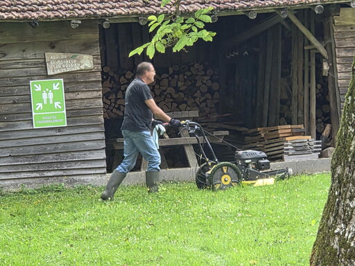 Tonte  / Débroussaillage