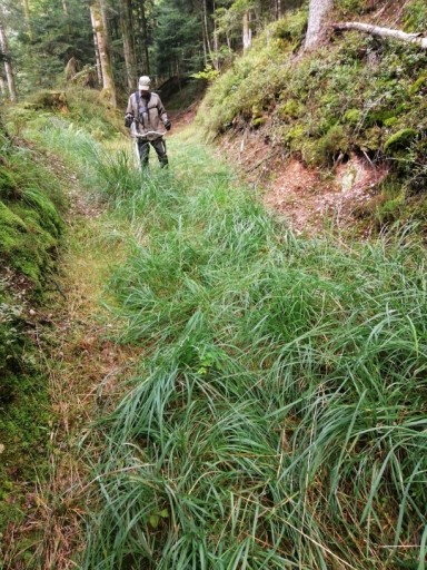 sentier de la Boudouze