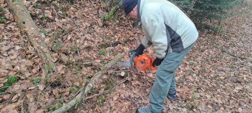 entretien sentier anneau rouge au départ de la Boulaie