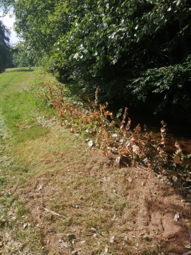 Sentier du souvenir Hattigny/Croix Jean-Baptiste/Val-et -Châtillon ,canal ,la Bouhaie