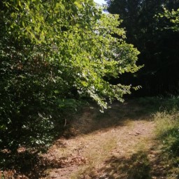 IMG 20260804 101045