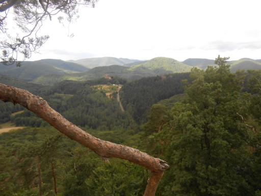 Fête des charbonniers Fleckenstein