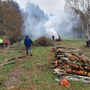 Coupe des Aulnes et brûlage des branches à Val-et-Châtillon