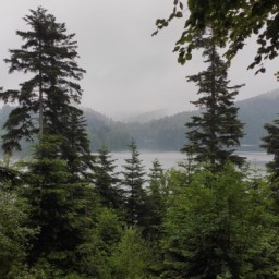 IMG 20240602 105355