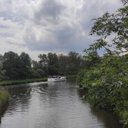 IMG 20240605 141620