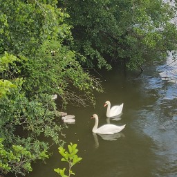 IMG 20240605 141720