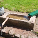 Curage de l’étang et remise en eau /  Remise des carpes dans l'étang / Mise en eau de l’auge.  