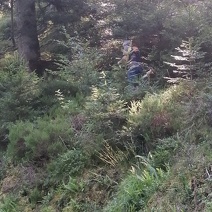 IMG 20240723 095314(1)