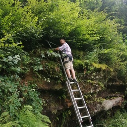 Entretien du blockhaus.