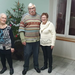 Décoration du sapin de Noël 