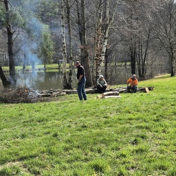 Fin des coupes d'arbres à l'étang de Val-et-Châtillon 