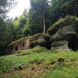 Débroussaillage  bunker