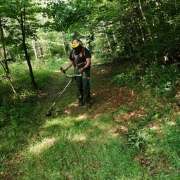 IMG 20250603 093011