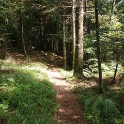 IMG 20250610 110418