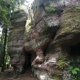 IMG 20250610 124243