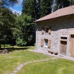 IMG 20250628 123042