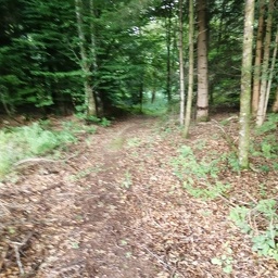 IMG 20250729 100910
