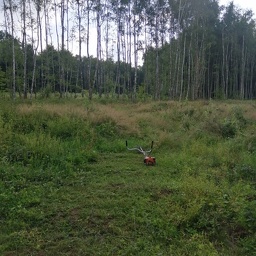 IMG 20250729 100939