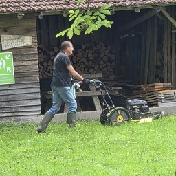 Tonte  / Débroussaillage