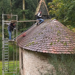 1000013647 (245 visites) 1000013647