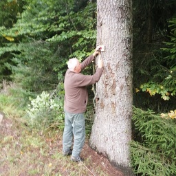 IMG 20251007 095717 (167 visites) IMG 20251007 095717