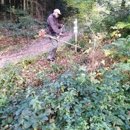 IMG 20251021 091107 (96 visites) IMG 20251021 091107