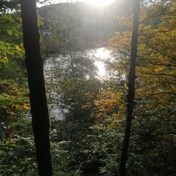 IMG 20251021 092732 (77 visites) IMG 20251021 092732