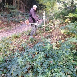 IMG 20251021 091108 (87 visites) IMG 20251021 091108